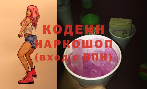 МДПВ Елизово