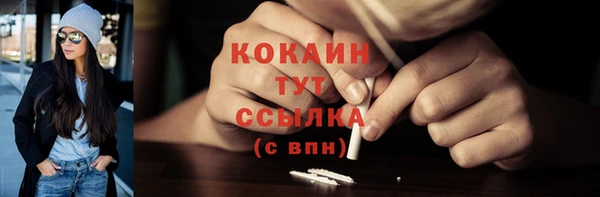 2c-b Ельня