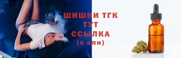 2c-b Ельня