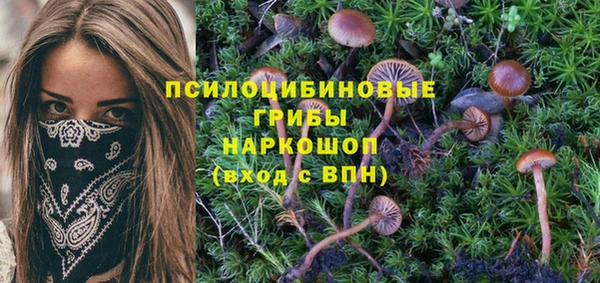 МДПВ Елизово