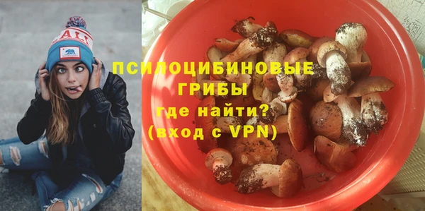 МДПВ Елизово