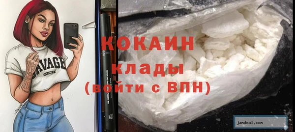 2c-b Ельня