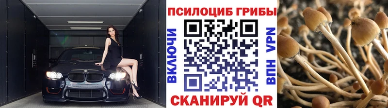 Галлюциногенные грибы прущие грибы  Купить закладки  Урюпинск 